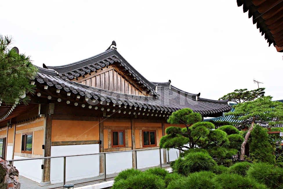 도솔미술관,미술관,한옥,한옥집,전통집,기와집,집,풍경,자연,식물,나무