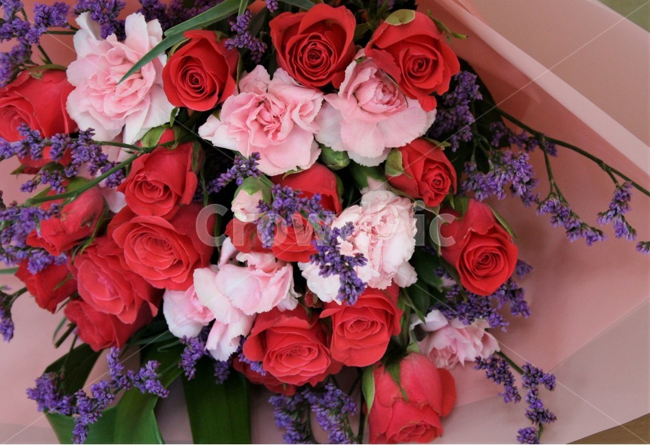 장미,꽃다발,꽃,장미다발,축하,꽃,flower,기념일,축하,anniversary,congratulation,celebrate,celebration