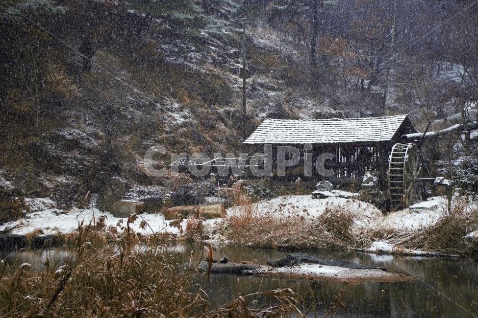 겨울,눈,물레방아,너와집,자연,계절,winter,감성,기분,feeling,watermill,snow,지붕,숲,나무,갈대,홍제천,겨울,계절,winter,season,자연,풍경,nature,landscape,한국자연풍경,한국자연경관,korea nature landscape,시골,마을,country,rural,town,outdoors,옥외,building,건물,housing,주택