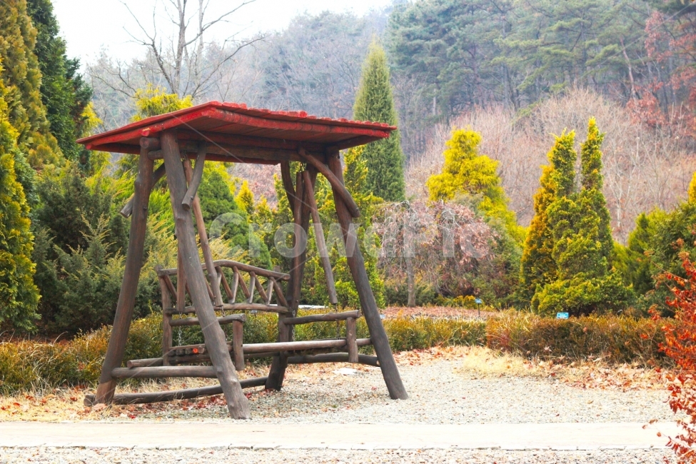 공원,나무,그네,숲,풍경,가을,계절,fall,autumn,season,자연,풍경,nature,landscape,한국자연풍경,한국자연경관,korea nature landscape,porch,현관,patio,안마당
