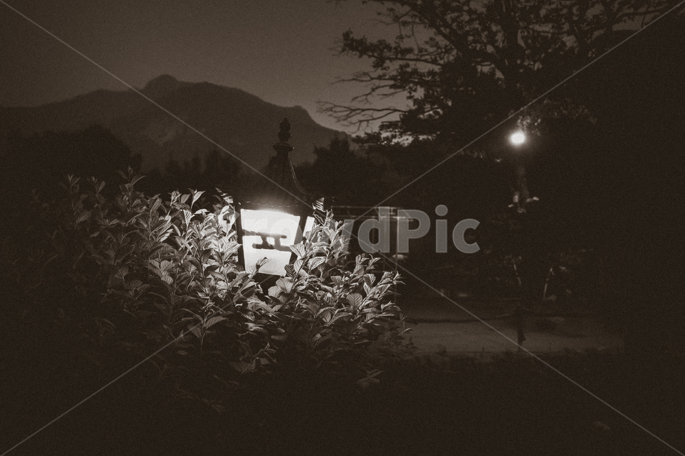 흑백,전통,야경,쓸쓸함,감성,공원,풍경,밤,야경,밤,풍경,nightscape,night,landscape,흑백,모노톤,monochrome,black and white,nature,자연