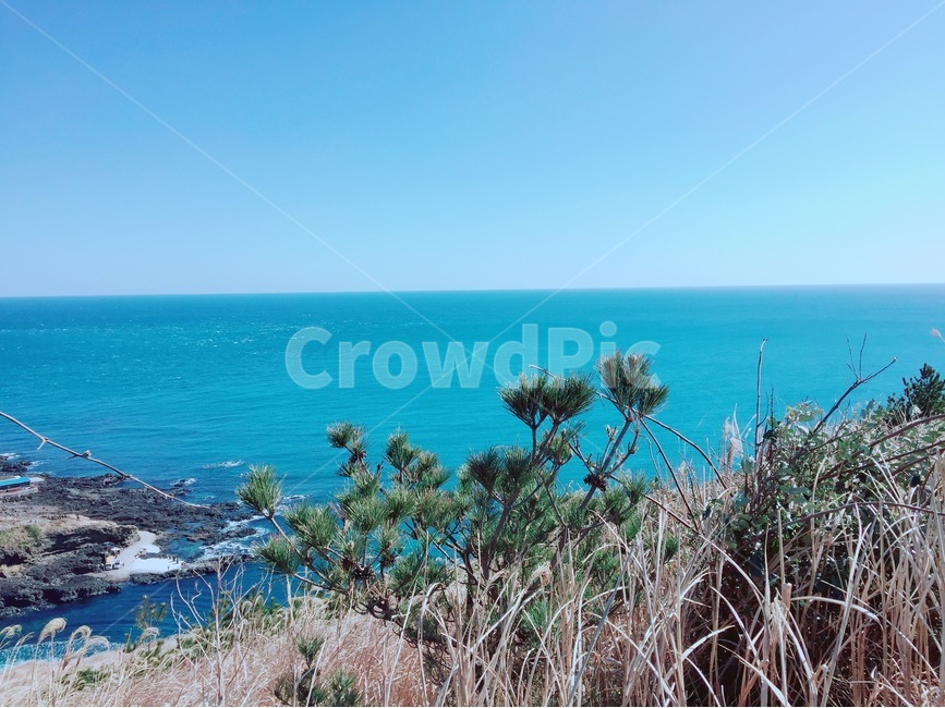 바다,산,제주,우도,하늘,풍경,갈대,등산,자연,풍경,nature,landscape,한국자연풍경,한국자연경관,korea nature landscape,제주도,jeju,jeju island,promontory,곶,water,물,shoreline,해안선,outdoors,옥외,sea,ocean,대양,land,땅