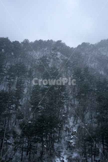 겨울,산,눈,winter,snow,겨울,계절,winter,season,자연,풍경,nature,landscape,outdoors,옥외