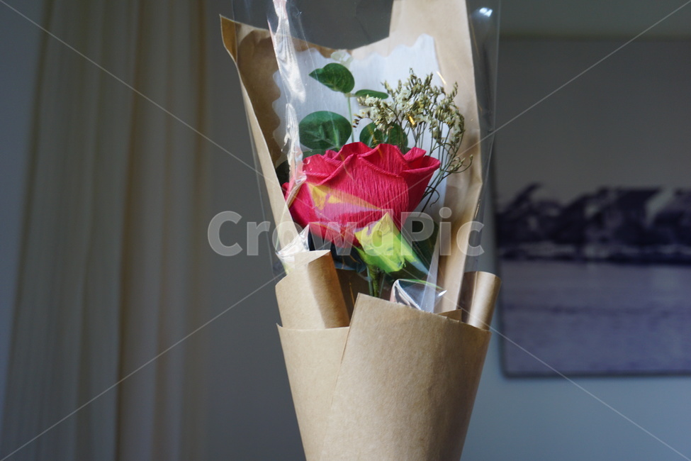 꽃,꽃다발,장미,조화,선물,꽃,flower,기념일,축하,anniversary,congratulation,celebrate,celebration