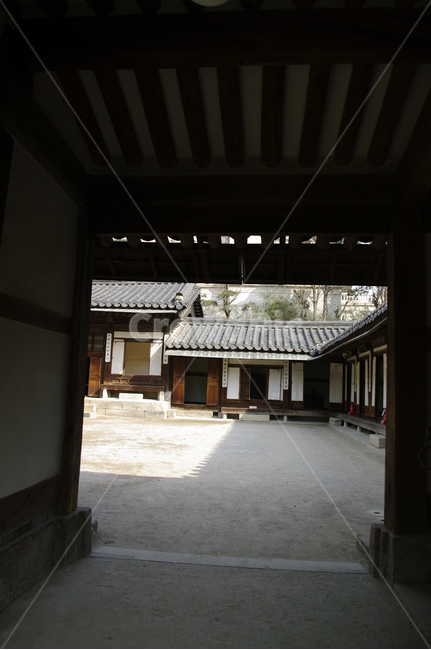 전통가옥,한옥,건축,기와지붕,tradition,마당,문,한국전통,한국문화,korean traditional,korean culture,건축물,건물외관,exterior,building,structure,architecture,construction
