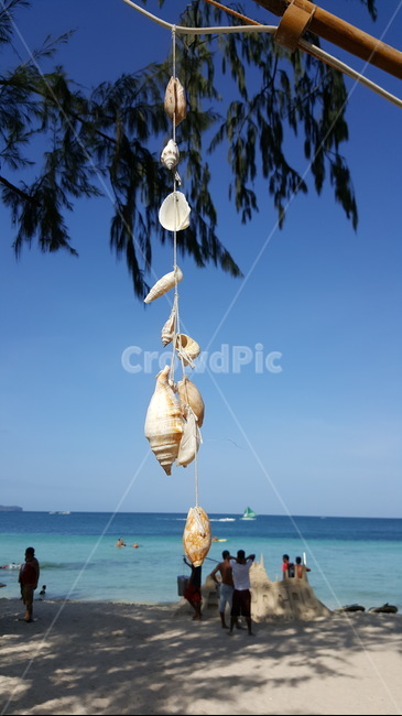 해변,바다,조개,clam,해외여행지