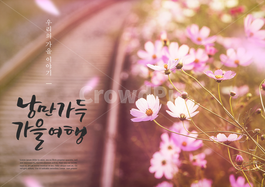 코스모스,꽃,철로,철길,가을,감성,캘리,캘리그라피,손글씨,붓글씨,표지,브로슈어,전단지,카달로그,가을,계절,fall,autumn,season,식물,자연,plants,nature,꽃,flower,여행,휴가,traveling,vacation,trip,감성,sensible,feeling,캘리그라피,손글씨,calligraphy,plant,blossom,petal,꽃잎