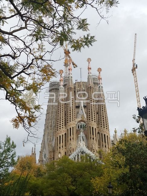 spain,Gaudi Cathedral,St Peters Cathedral,Cathedral,building,Spain,steeple,Gaudi,spire,catholic,tower,architecture