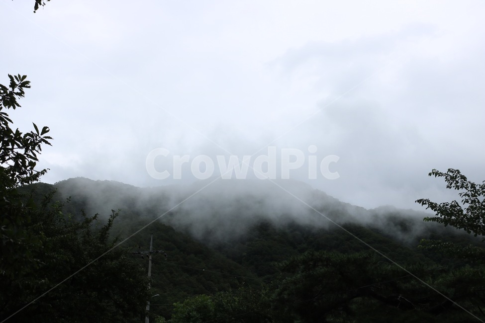 산,안개,나무,초록,흰색,mountain,fog,tree,green,white,yama,kiri,ki,midori,shiro,자연,풍경,자연,풍경,nature,landscape,weather,날씨,outdoors,옥외