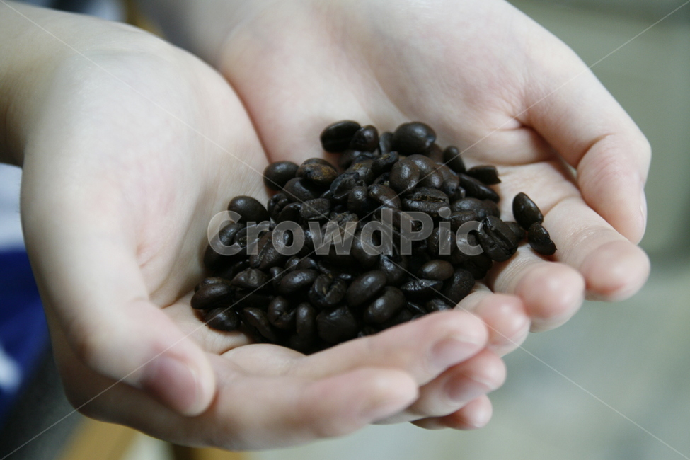 커피,원두,커피콩,손,두손,커피,카페,coffee,cafe