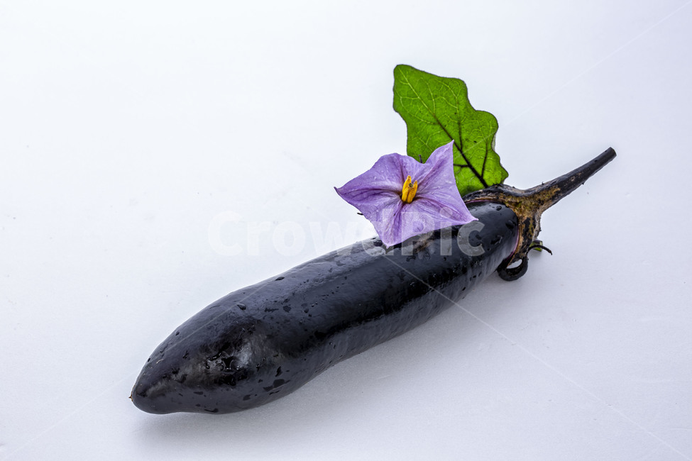 Nature,Nukki,Eggplant,Fruit,Solanaceae,Food