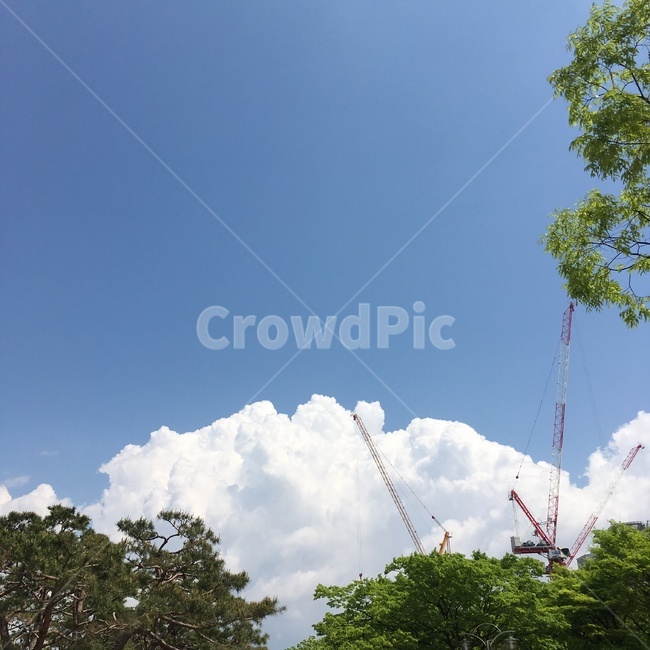 건설,공사,구름,cloud,나무,tree