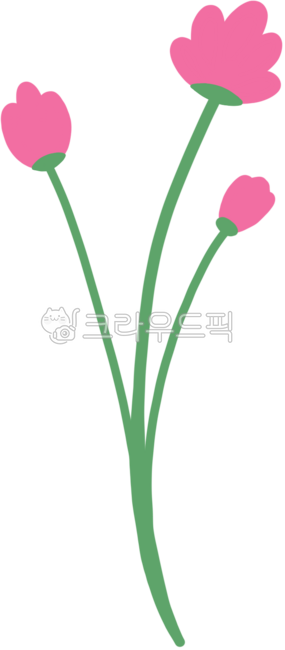 꽃,잎사귀,잎,식물,플라워,봄,봄꽃,4월,5월,6월,열매,풀,꽃장식,식물장식,야생화,들꽃