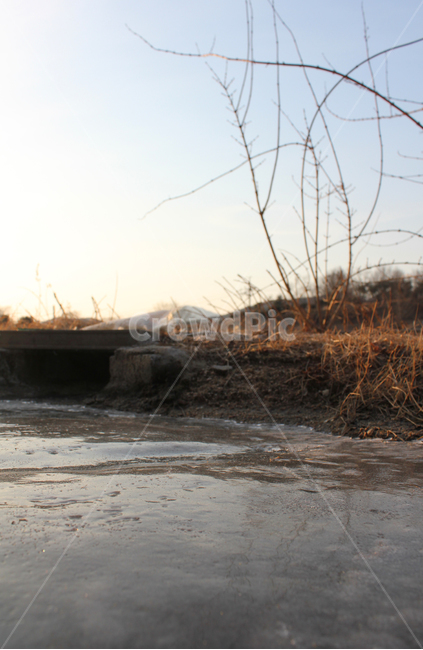 겨울,황량한,얼음,얼린,아이스,갈색,브라운,오후,자연,자연,풍경,nature,landscape