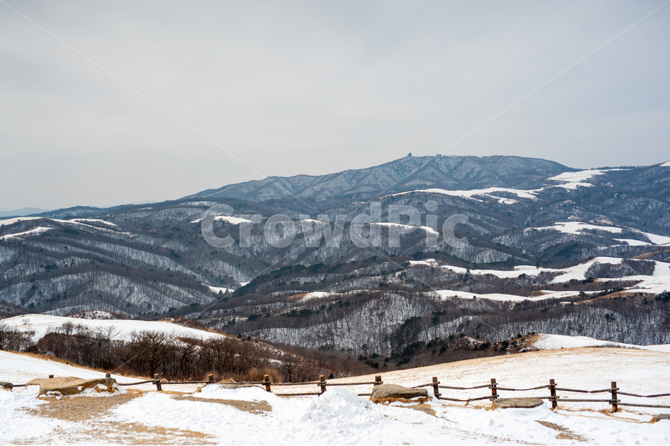 평창,대관령,삼양목장,자연,눈,산,풍경,겨울,계절,winter,season,자연,풍경,nature,landscape,한국자연풍경,한국자연경관,korea nature landscape,outdoors,옥외,mountain,mountain range,산맥