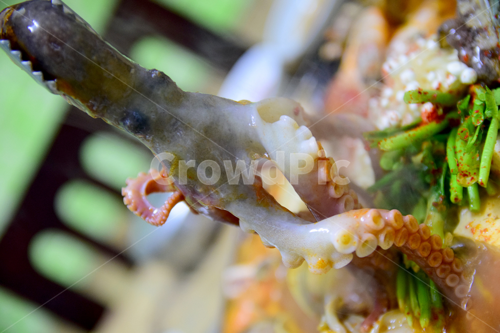 해물,해물두부,해물두부전골,전골,낙지,음식,요리,식사,meal,food,dish,octopus,음식,식재료,요리,food,cook,meal,dishes,food reserves,수산물,해산물,fishery products,seafood,한식,한국음식,한국요리,korean food,korean dishes,korean meal,korean cook