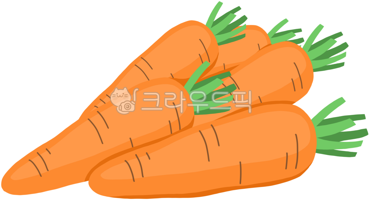 귀여운당근,당근,당근손그림,당근일러스트,흙당근,당근야채,당근채소,주황당근,당근그림,당근뿌리
