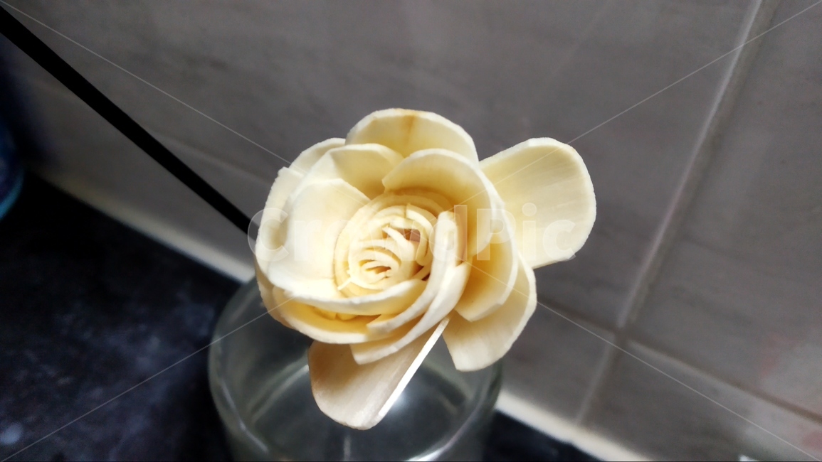 장미,조화,꽃,방향제,발향꽃,꽃,flower