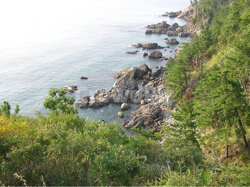 자연,풍경,해변,동해바다,절경