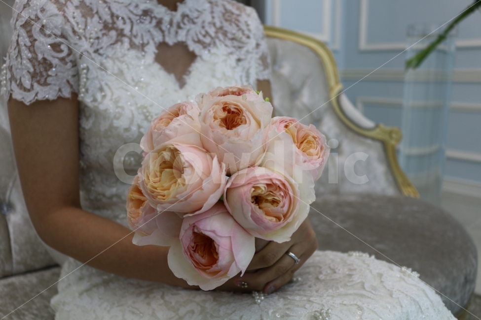신부,결혼,부케,웨딩,웨딩드레스,wedding,dress,식물,자연,plants,nature,꽃,flower,기념일,축하,anniversary,congratulation,celebrate,celebration,사람,인물,인간,human,person,여성,여자,woman,female,lady,결혼,혼례,웨딩,wedding,marriage,marry