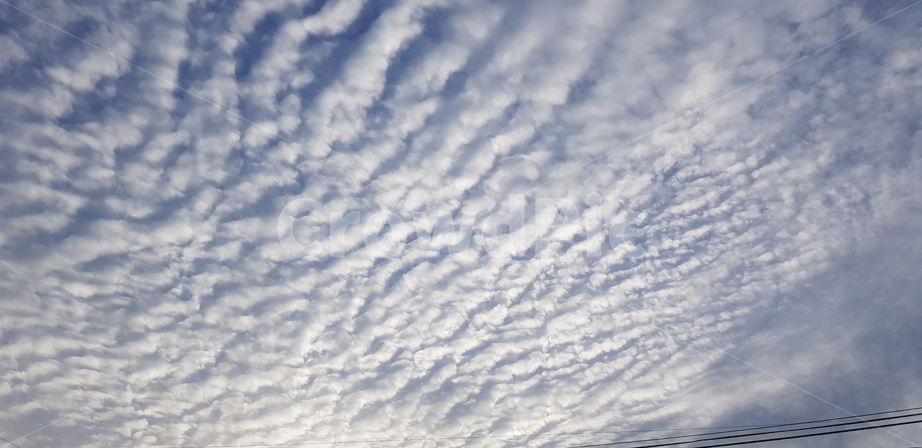 구름,파란하늘,하얀구름,뭉게구름,특이한구름,파란,하얀,special,cloud,sky,bluesky
