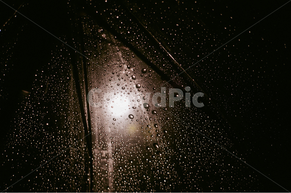 가로등,우산,빗방울,비,rain,어둠,분위기있는,무드,night,물방울,필름사진,야경,밤,풍경,nightscape,night,landscape,비,비오는날,rain,rainy,light,빛,flare,플레어