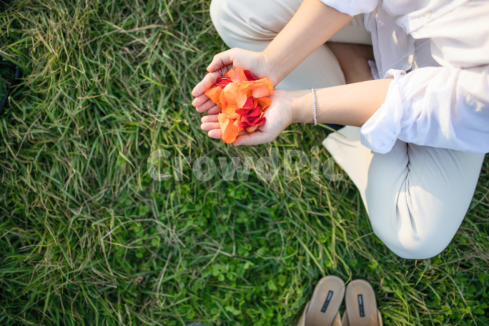 두손,꽃잎,잔디,휴일,손,식물,grass,plant,clothing,의류,person,사람,human,인간,올림픽공원,lawn,petals,한명,1명,휴식,잔디밭,나들이