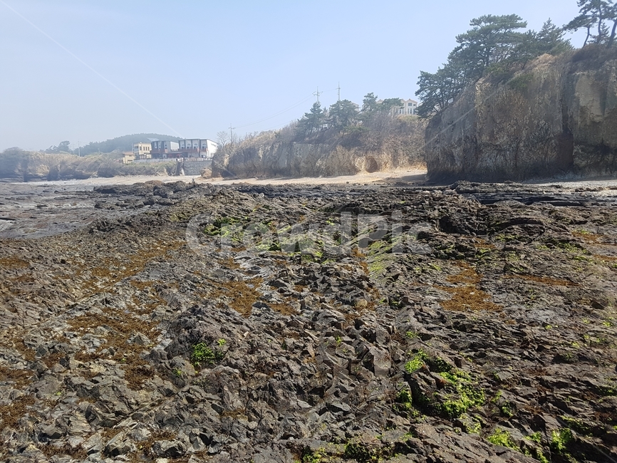 채석강,바다,돌,부안,적벽강,자연,풍경,nature,landscape,ground,바닥