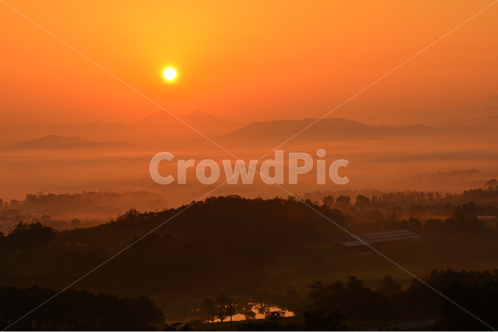 전남,함평,밀재,밀재일출,여명,아침,해돋이,sky,하늘,dawn,새벽,redsky,붉은하늘,fog,안개,plant,식물,nature,자연,outdoors,옥외,scenery,풍경,landscape,경치,mountain,산