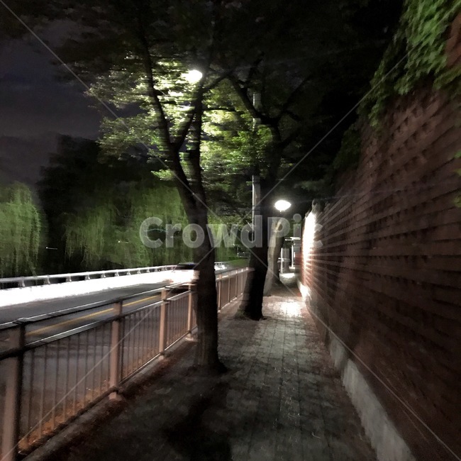 밤,골목,어두운,가로등,나무