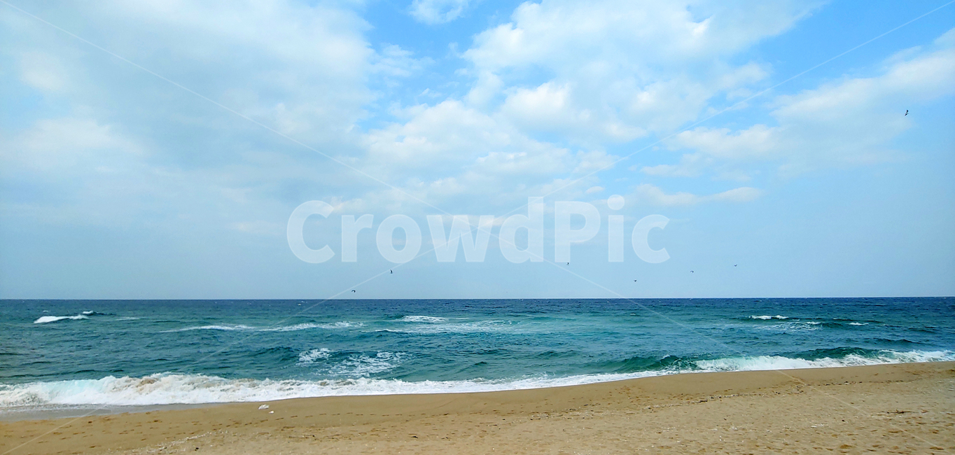 바다,해안선,동해바다,백사장,해수욕장,푸른하늘,뭉게구름,water,outdoors,야외,바닷가,옥외,아웃도어,배경,바탕,백그라운드,nature,자연,shoreline,ocean,대양,sea,물,파도,포말,모래사장,힐링,해변,바다,beach,sea