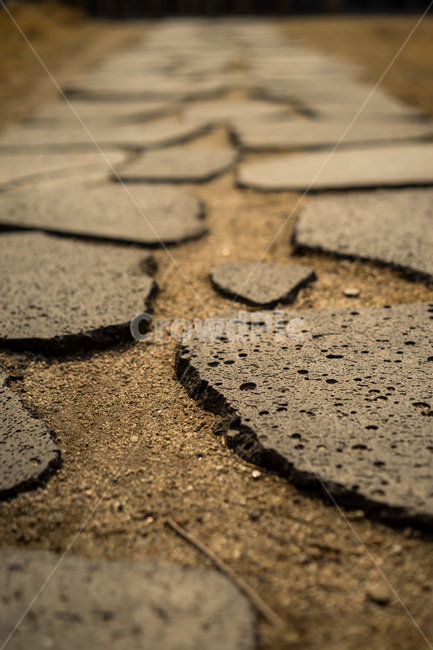 landscape,디딤돌,클로즈업,closeup,steppingstone