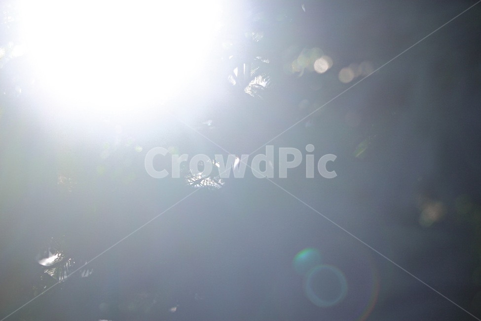 햇빛,빛반사,할레이션,광체,빛무지개,reflect,sunlight,여름,감성,스냅촬영