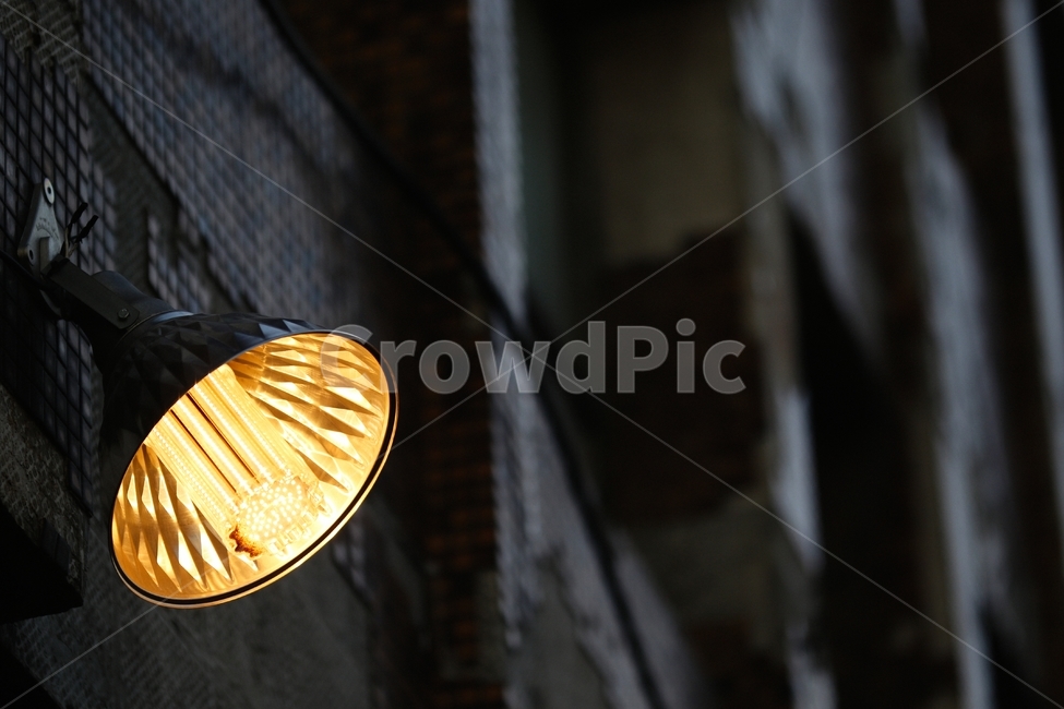 light,빛,lamp,램프,전구