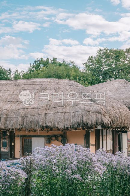 안동하회마을,안동,하회마을,한국전통,한국문화,풍경,경치,시골,자연,koreantraditional,민속마을,전통,koreanculture,세계문화유산,korea,초가집