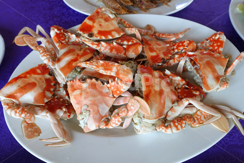 게,알리망고,베트남게,삶은게,베트남,음식,식재료,요리,food,cook,meal,dishes,food reserves,수산물,해산물,fishery products,seafood