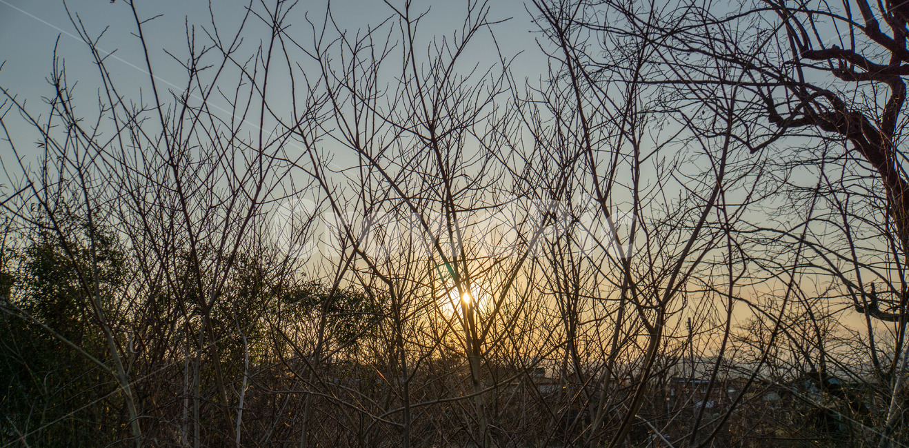 노을,일몰,나무,풍경,감성,하늘,자연,풍경,nature,landscape,outdoors,옥외