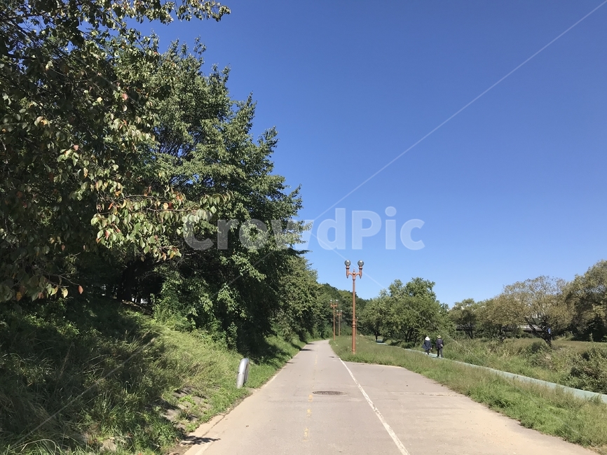 road,도로,freeway,sunny,street,bike,햇살,길,거리
