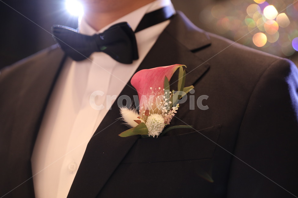 웨딩,드레스,성혼선언문,선언,선서,신랑,신부,결혼식,결혼,혼례,웨딩,wedding,marriage,marry
