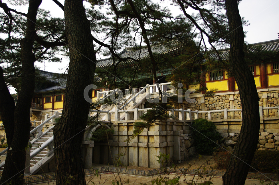 자하문,백운교,경주,건축,불국사,사찰,단청,지붕,traditional,전통,한국전통,한국문화,korean traditional,korean culture,랜드마크,landmark,tourist attraction,한국랜드마크,한국관광지,한국명소,korea landmark,korea tourist attraction,건축물,건물외관,exterior,building,structure,architecture,construction