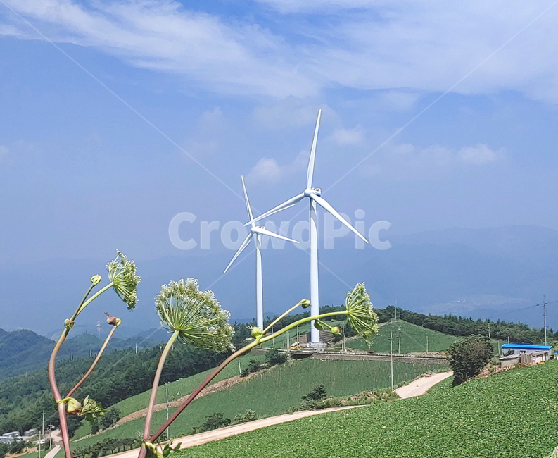 풍경,여름풍경,하늘,구름,산풍경