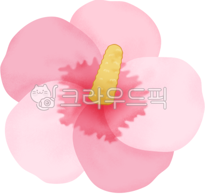 Patriots' Day,March 1st,Independence Movement Day,Memorial Day,June 6th,Rose of Sharon,Kim Gu,Yun Bong-gil,Yu Gwan-sun,Rose of Sharon flower,Long Live the Republic of Korea,Taegeukgi,National Flag,National Day,Korea,Manse,Flag,Flagpol