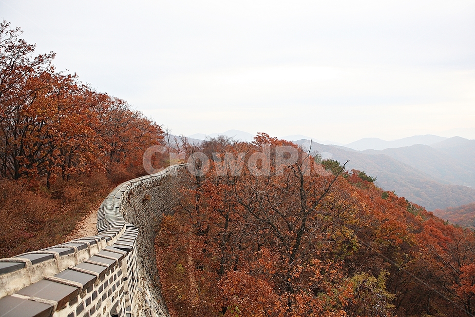 남한산성,성,성곽,단풍,낙엽,길,둘레길,숲,숲길,담,돌담,가을,자연,풍경,벽,울긋불긋,산성,식물,가을,계절,fall,autumn,season,한국전통,한국문화,korean traditional,korean culture,nature,outdoors,옥외,building,건물