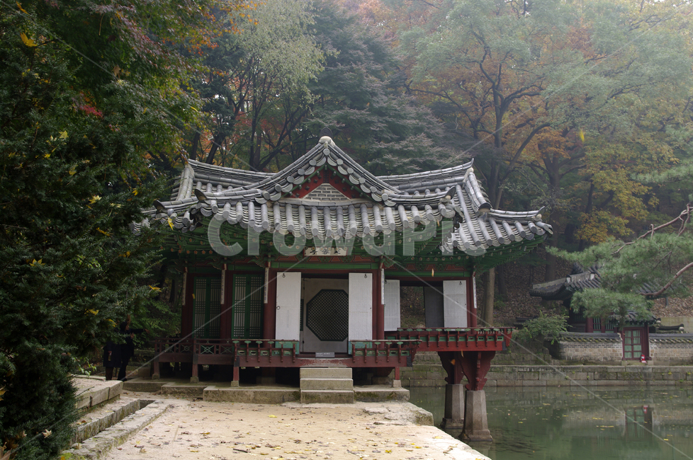 창덕궁후원,부용정,고궁,건축,전통건축,traditional,전통,단청,기와지붕,가을,fall,나무,식물,plant,단풍,가을,계절,fall,autumn,season,한국전통,한국문화,korean traditional,korean culture,랜드마크,landmark,tourist attraction,한국랜드마크,한국관광지,한국명소,korea landmark,korea tourist attraction,건축물,건물외관,exterior,building,structure,architecture,construction,건물