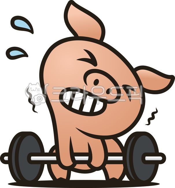 pig picture,exercise,weight,health,pig character,deadlift,lack of exercise,barbell,Pig,weightlifting,pig illustration,fitness,muscle,gym,struggling,diet,physical strength,injury,bunch