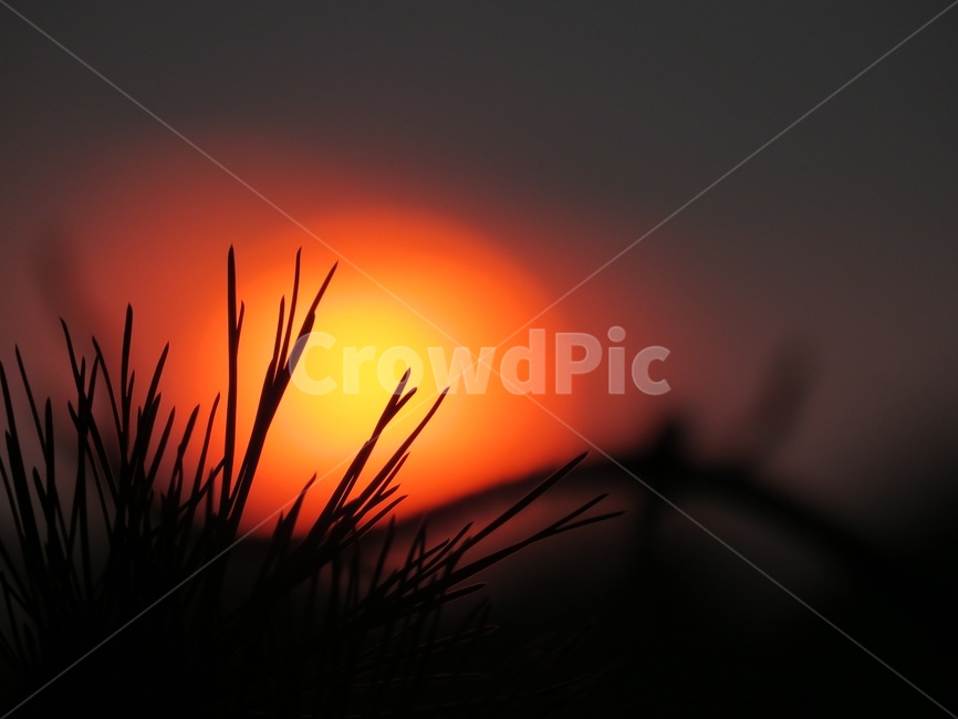 노을,석양,태양,히늘,저녁,자연,풍경,nature,landscape,outdoors,옥외,sky,하늘,sunset,일몰,dusk,황혼,dawn,새벽,red sky,붉은 하늘