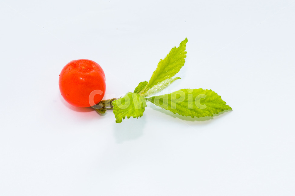 과일,디저트,앵두,여름,문양,음식,식재료,요리,food,cook,meal,dishes,food reserves,과일,열매,fruit,누끼,remove background