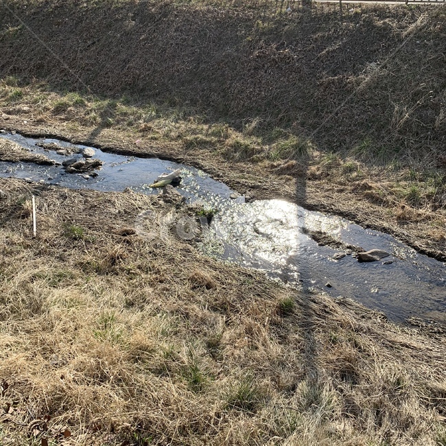 nature,자연,outdoors,도랑,water,윤슬,하천