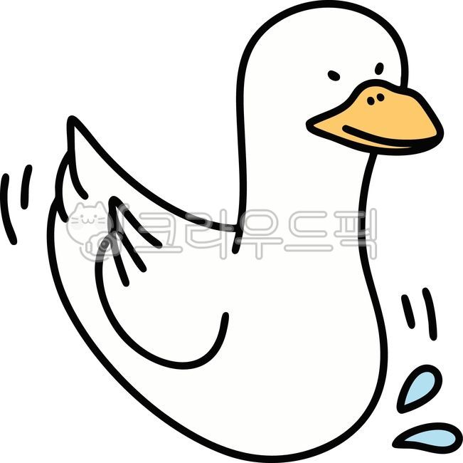 Duck,duck emoticon,duck character,duck illustration,animal,cute duck,duck floating on water,duck drinking water,pond duck,white duck,goose,white goose,bird,duckling,bird