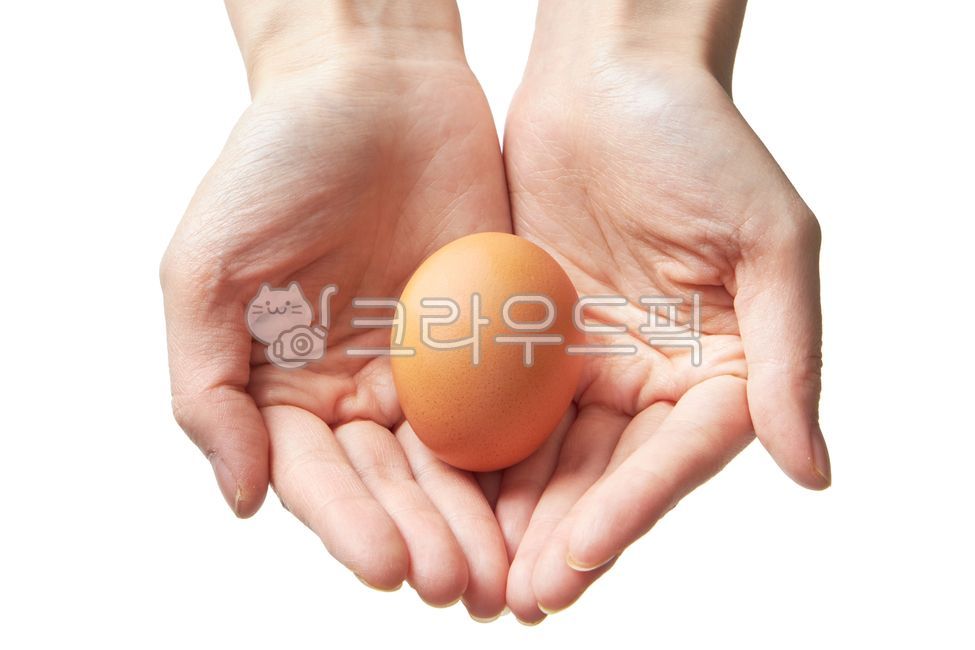 finger,egg,womans hand,background composition,white background,complete food,food,person,both hands,hand,female hand
